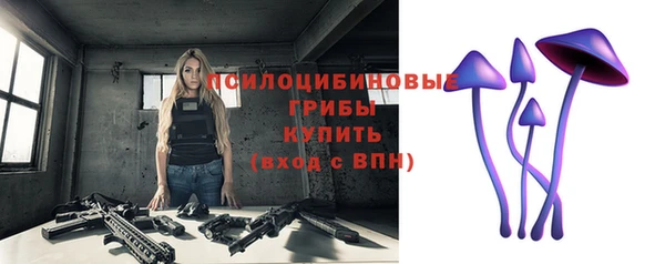 ECSTASY Абдулино