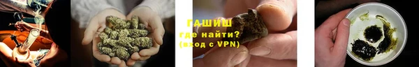 ПСИЛОЦИБИНОВЫЕ ГРИБЫ Абаза