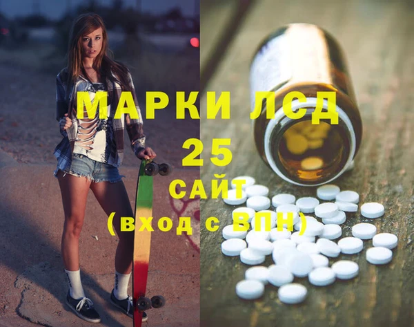 ПСИЛОЦИБИНОВЫЕ ГРИБЫ Абаза
