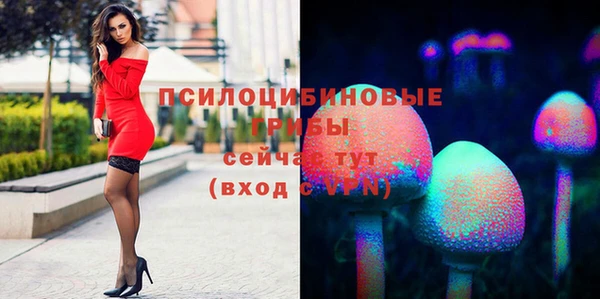 ECSTASY Абдулино