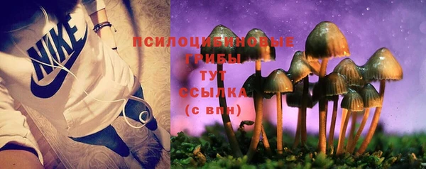 ECSTASY Абдулино